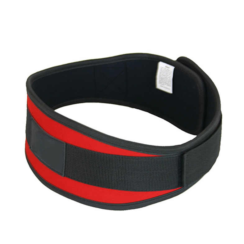 Weight Lifting Belt