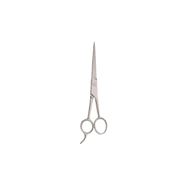 Barber Scissors