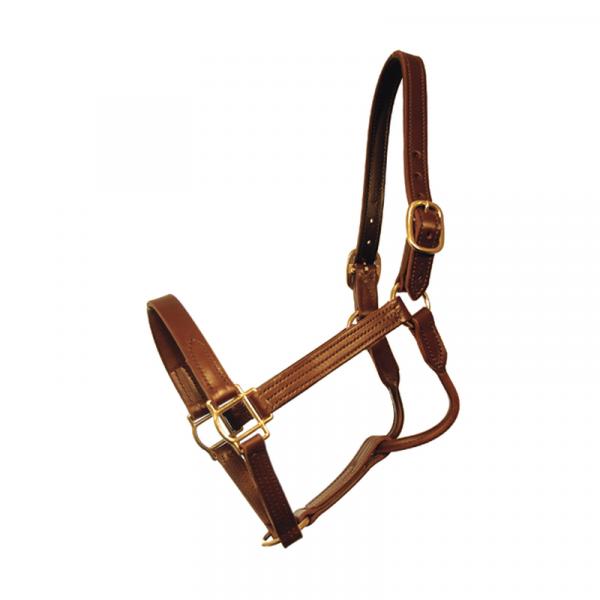 Halters